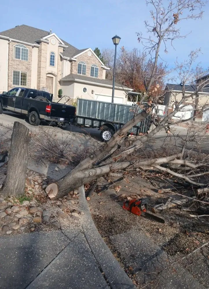 Trusted yard maintenance in Sandy, UT by Jireh Lanscaping