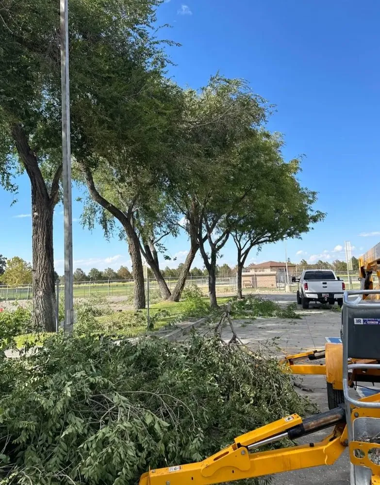 Trusted landscape design experts serving Sandy, UT - Jireh Lanscaping
