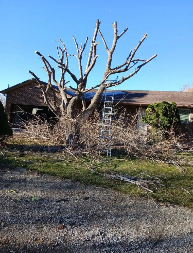 Custom landscape installation experts serving Sandy, UT - Jireh Lanscaping