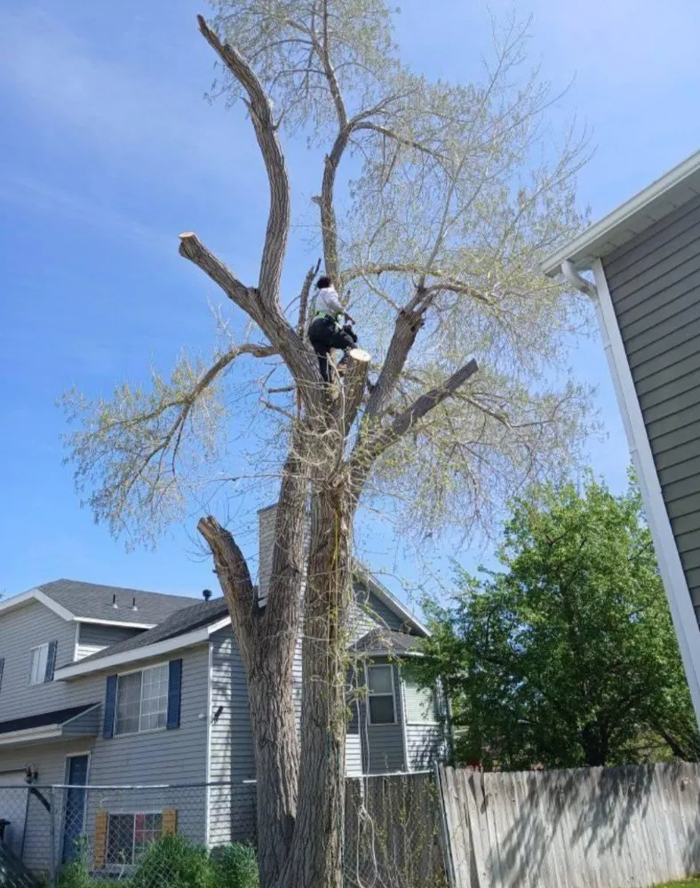 Professional landscape design experts serving Sandy, UT - Jireh Lanscaping