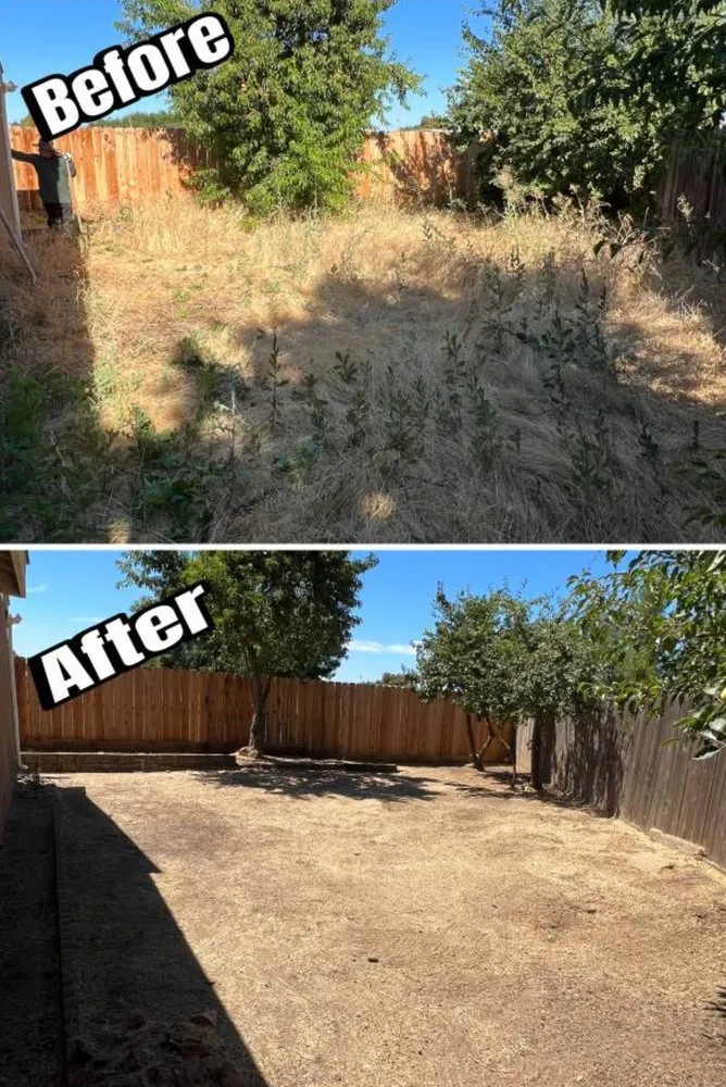 Local landscaping services experts serving Longmont, CO - Jireh lawn and landscape