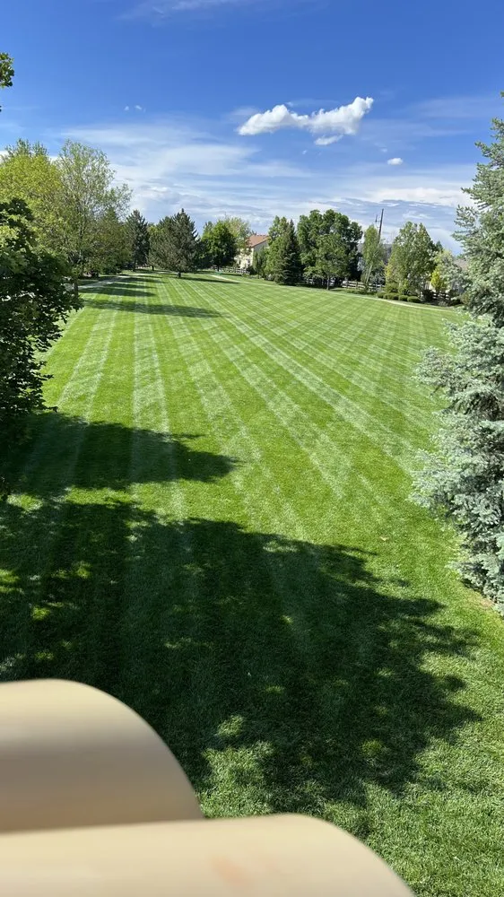 Expert landscape installation for beautiful yards in Longmont, CO by Jireh lawn and landscape