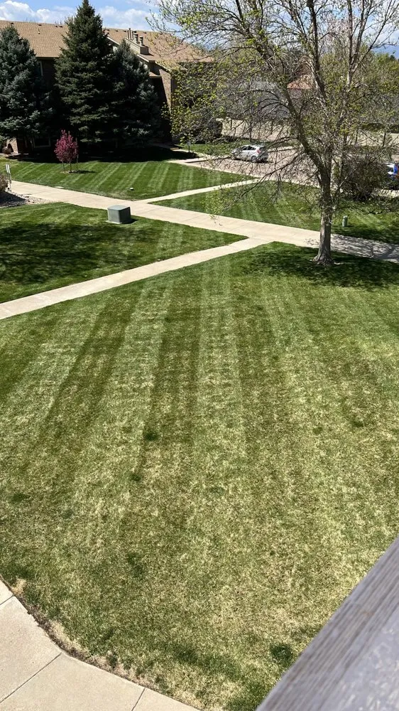 Expert garden landscaping experts serving Longmont, CO - Jireh lawn and landscape