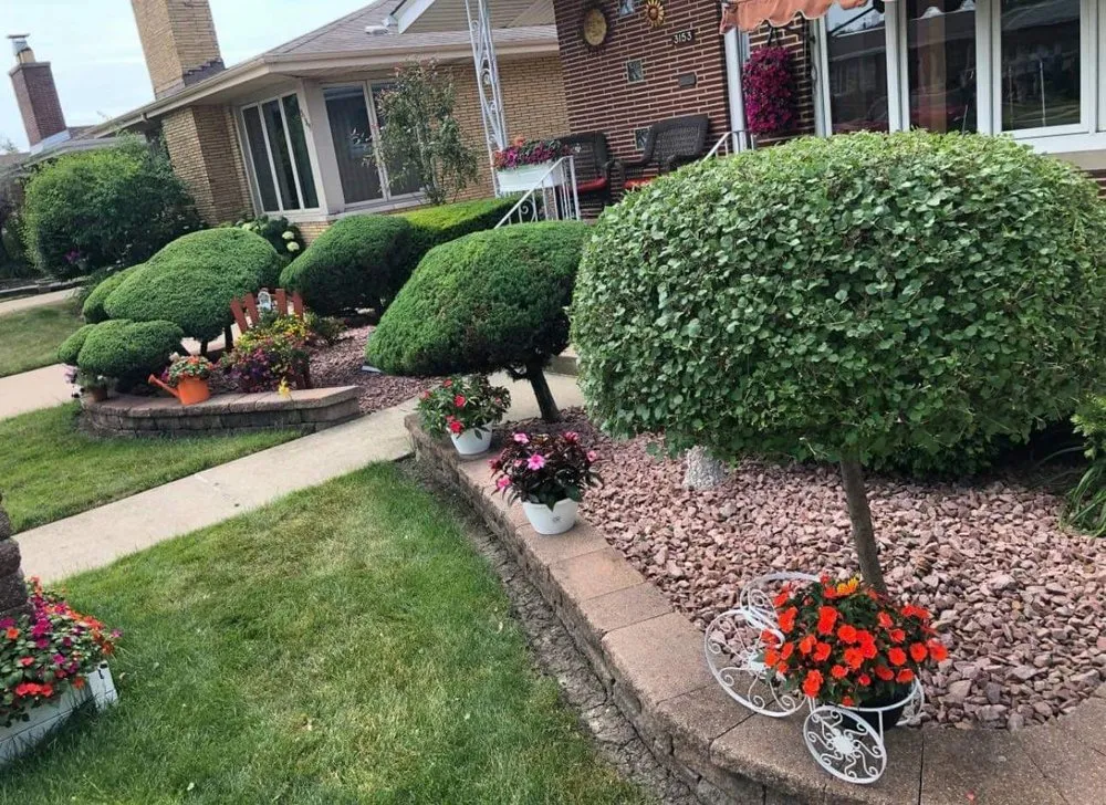 Custom lawn care service experts serving Longmont, CO - Jireh lawn and landscape