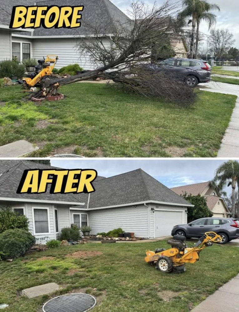Reliable landscape design in Longmont, CO by Jireh lawn and landscape