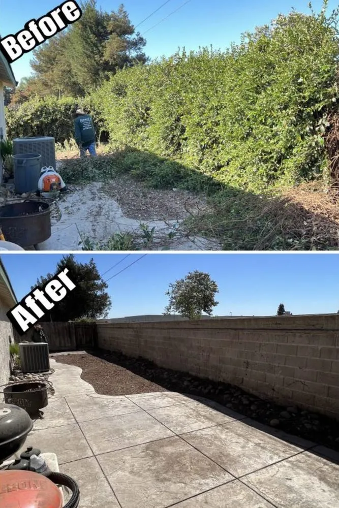 Affordable lawn mowing service in Longmont, CO - Jireh lawn and landscape