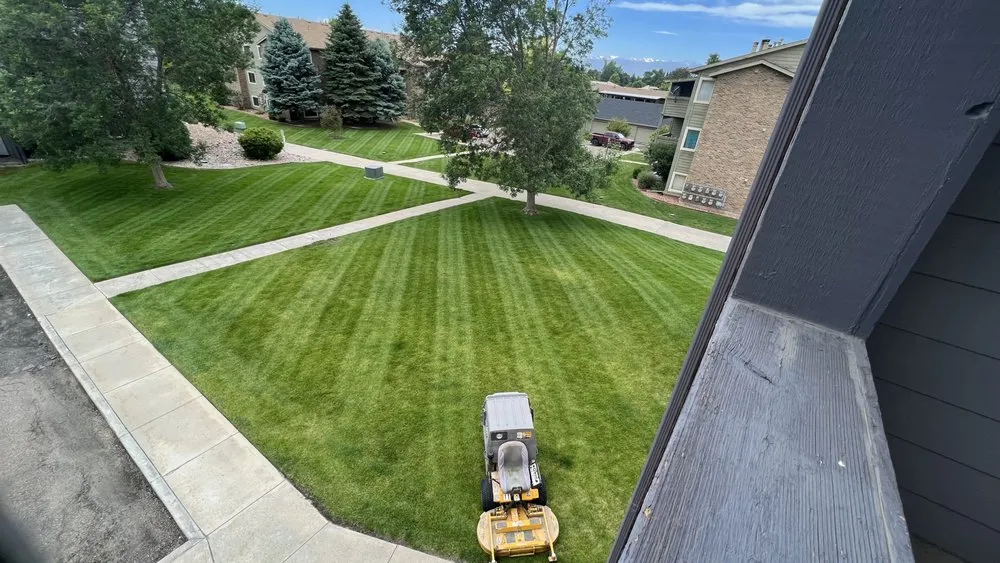 Professional landscape installation in Longmont, CO - Jireh lawn and landscape