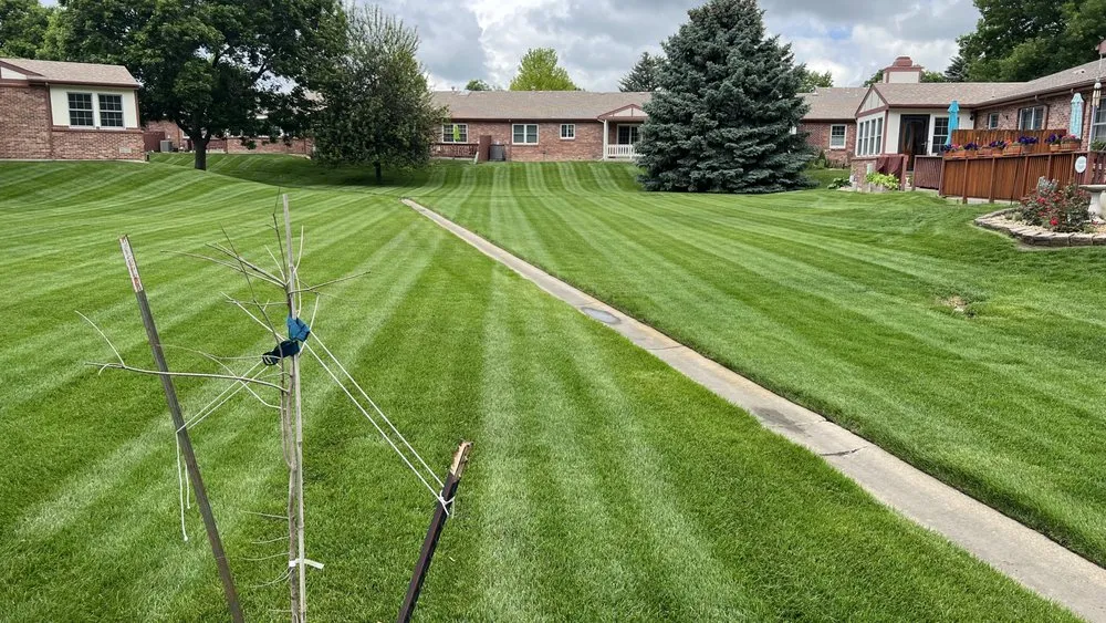 Professional landscape installation in Longmont, CO by Jireh lawn and landscape