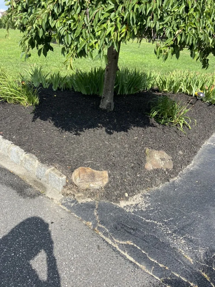 Local yard cleanup service near you in Bridgeton, NJ by Jireh Lawn Care & Landscaping