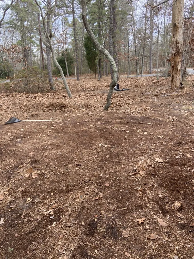 Affordable lawn care service experts serving Bridgeton, NJ - Jireh Lawn Care & Landscaping