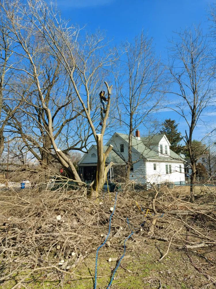 Trusted garden landscaping in Bridgeton, NJ - Jireh Lawn Care & Landscaping