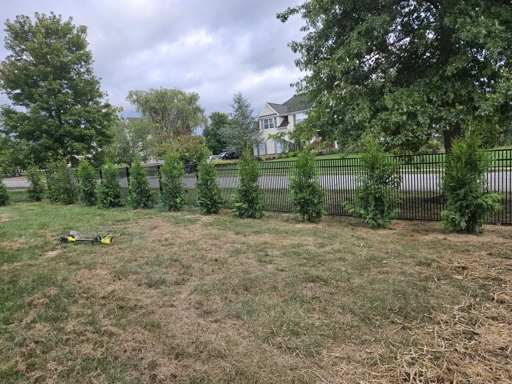 Reliable yard maintenance in Bridgeton, NJ by Jireh Lawn Care & Landscaping