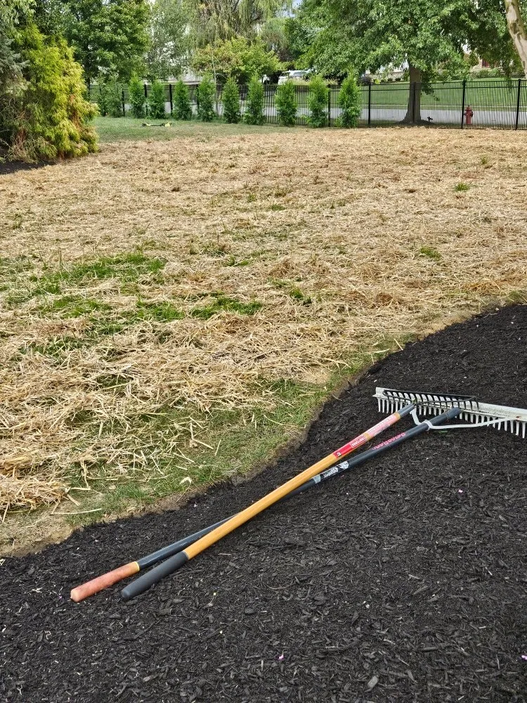 Top-rated outdoor landscaping for outdoor upgrades in Bridgeton, NJ by Jireh Lawn Care & Landscaping