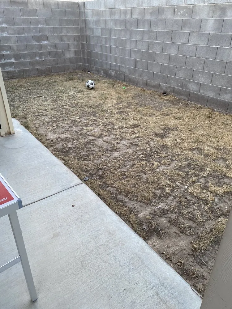 Top-rated yard cleanup service in Las Vegas, NV by Jireh Lawn Maintenance