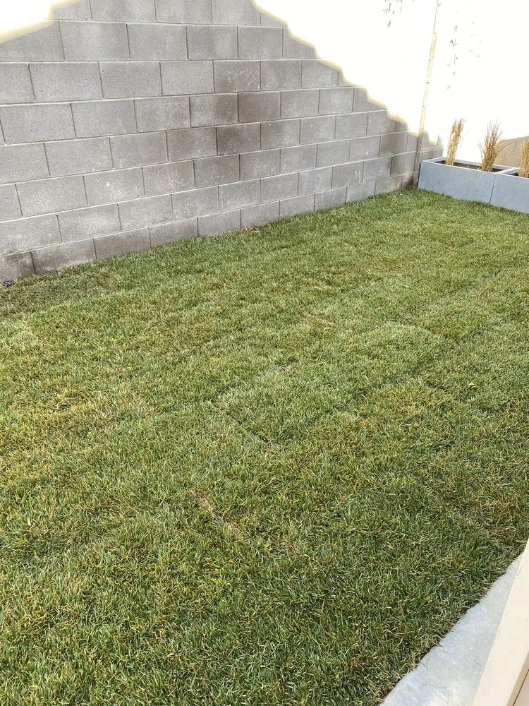 Local landscape design in Las Vegas, NV by Jireh Lawn Maintenance