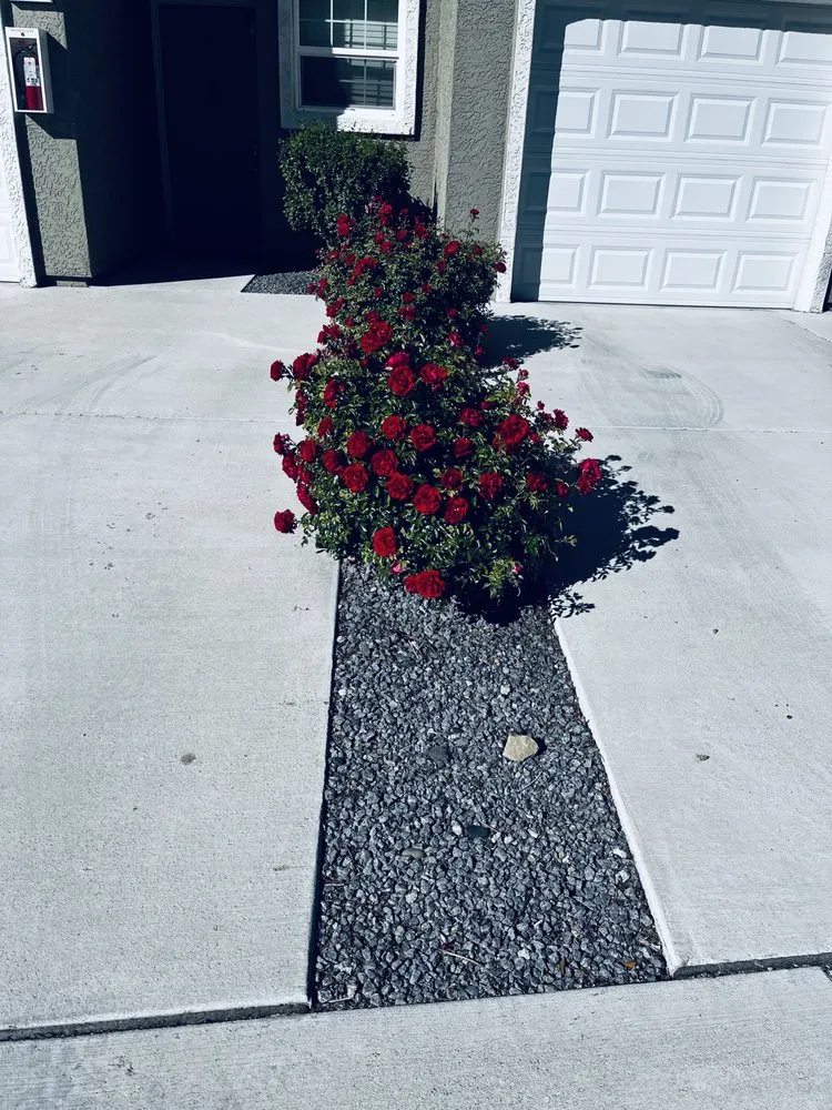 Trusted yard cleanup service for beautiful yards in Reno, NV by Jireh Lawn Maintenance