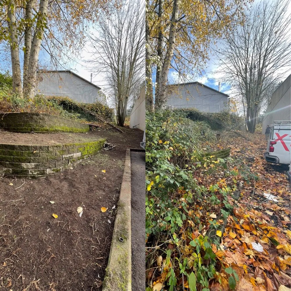 Professional residential landscaping near you in Snohomish, WA by Jireh Repair & Gardening