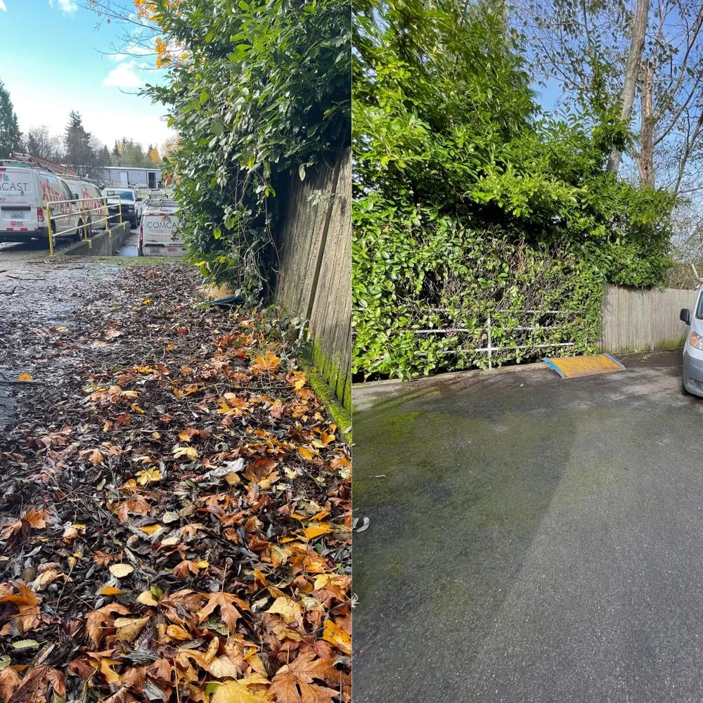 Expert landscape design near you across Snohomish, WA - Jireh Repair & Gardening