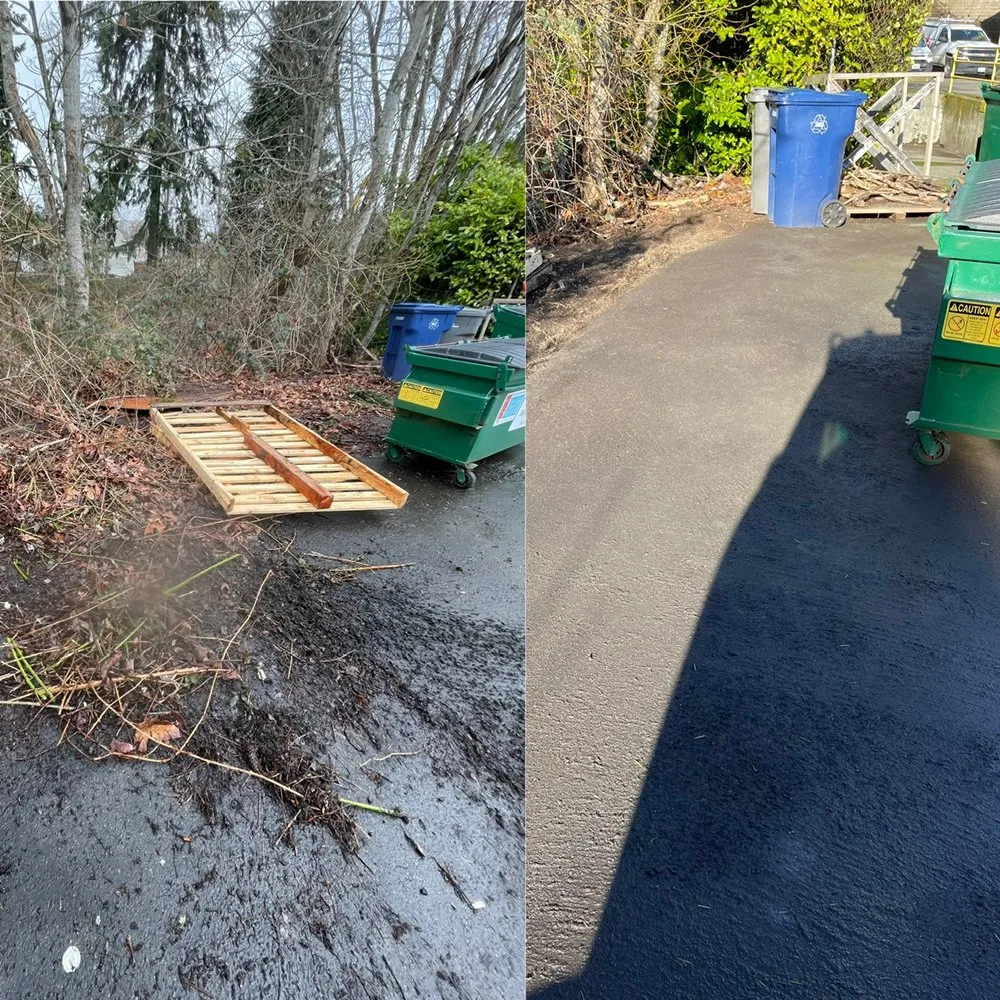 Reliable yard cleanup service in Snohomish, WA - Jireh Repair & Gardening