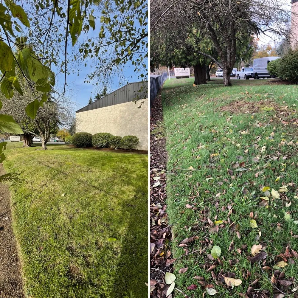 Custom outdoor landscaping for residential properties in Snohomish, WA by Jireh Repair & Gardening