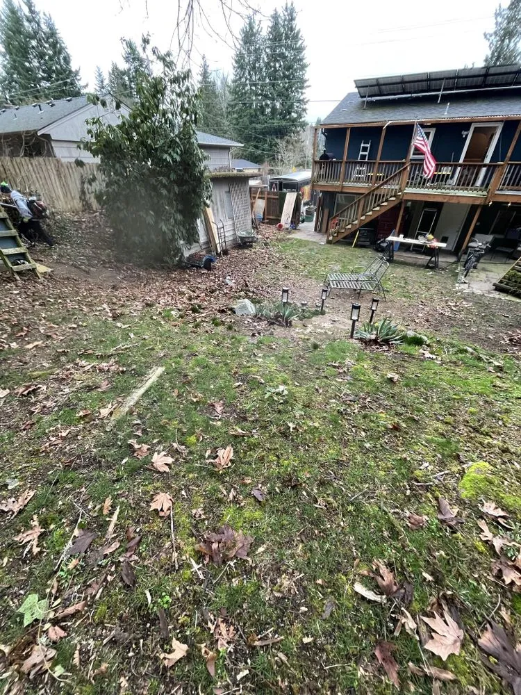 Custom yard maintenance for homes in Snohomish, WA by Jireh Repair & Gardening