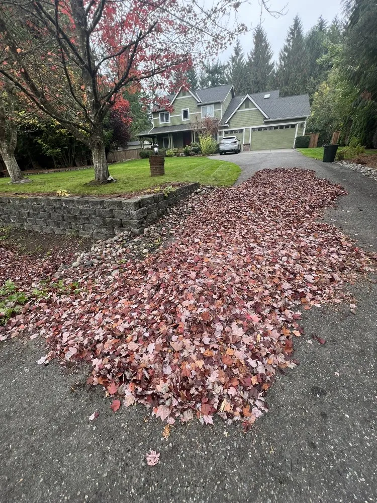 Affordable residential landscaping for beautiful yards across Snohomish, WA - Jireh Repair & Gardening