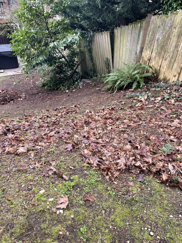Reliable lawn care service in Snohomish, WA by Jireh Repair & Gardening