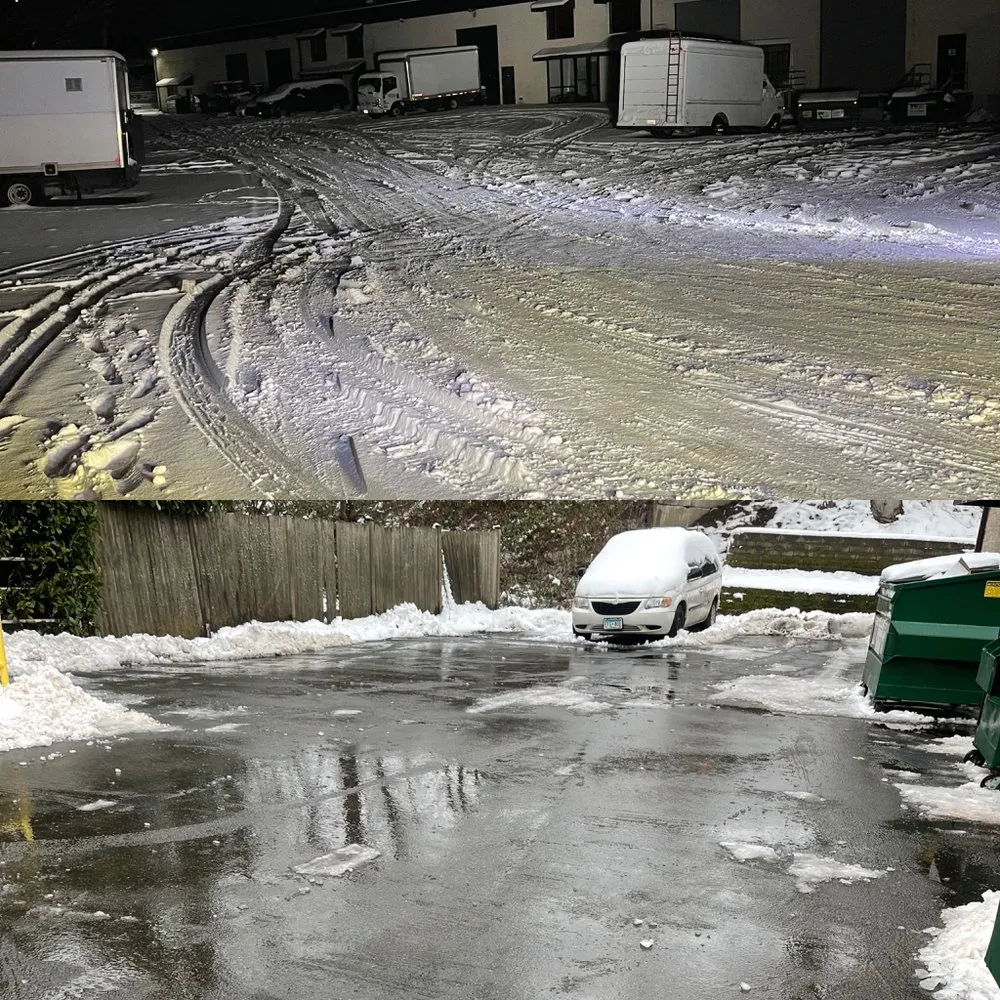 Top-rated yard cleanup service in Snohomish, WA - Jireh Repair & Gardening