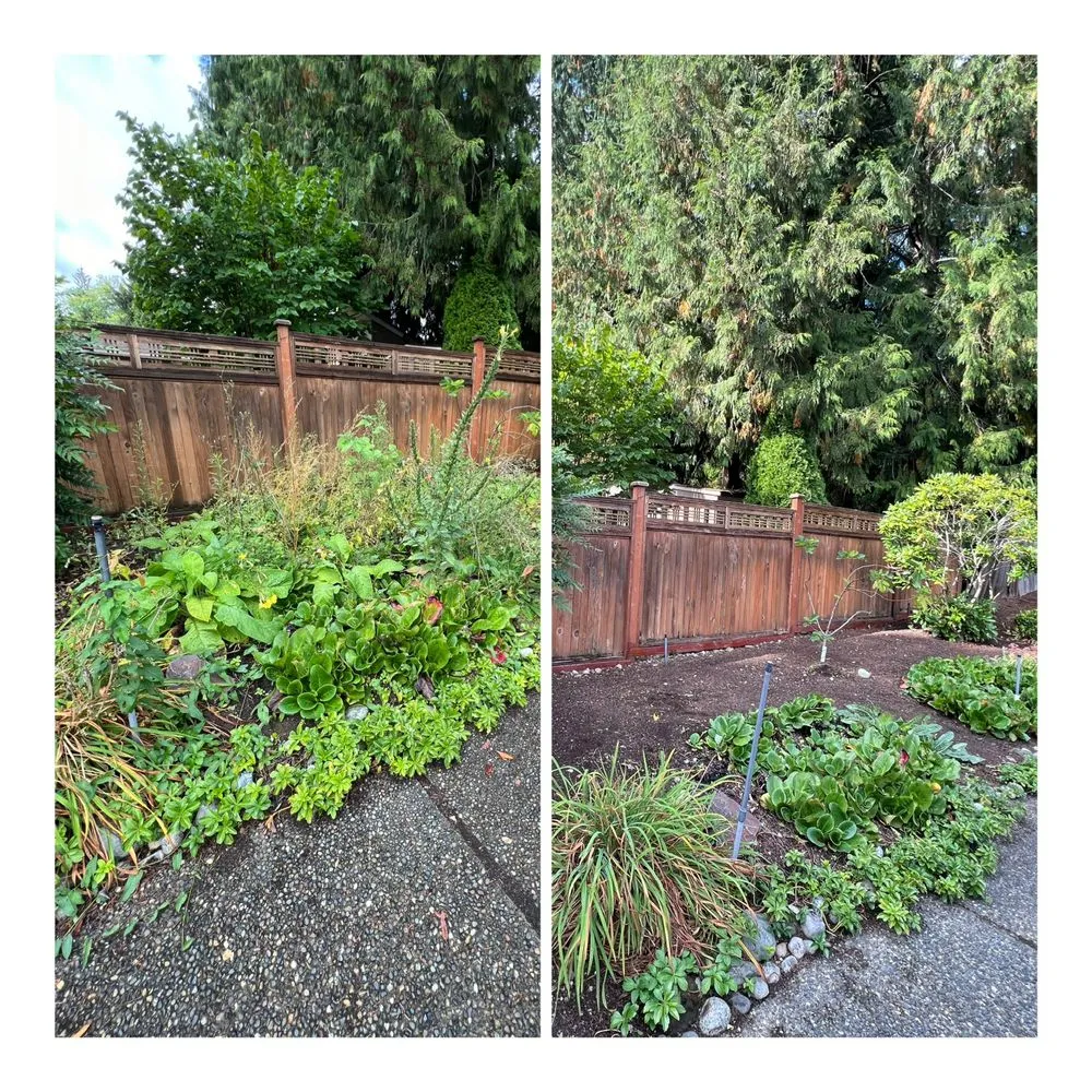 Custom lawn care service for beautiful yards in Snohomish, WA by Jireh Repair & Gardening
