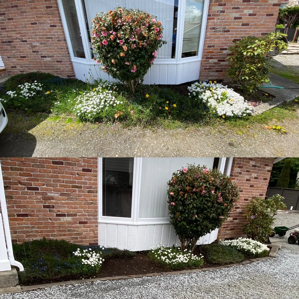 Reliable garden landscaping in Snohomish, WA - Jireh Repair & Gardening