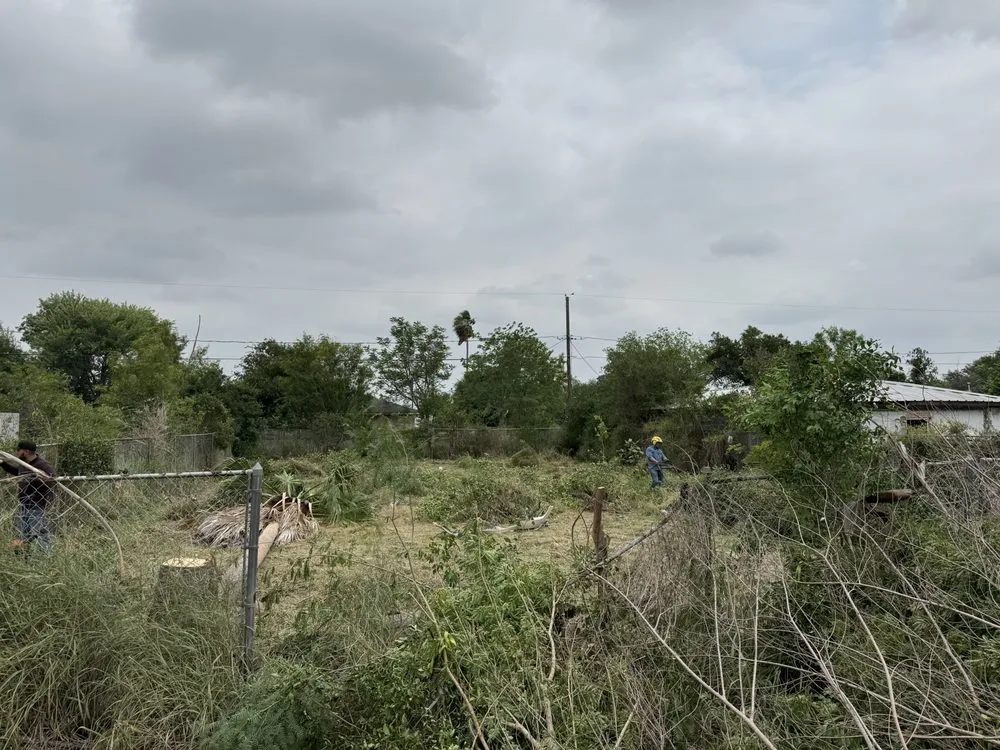 Custom landscaping services experts serving Brownsville, TX - Jireh Tree & Lanscaping Services