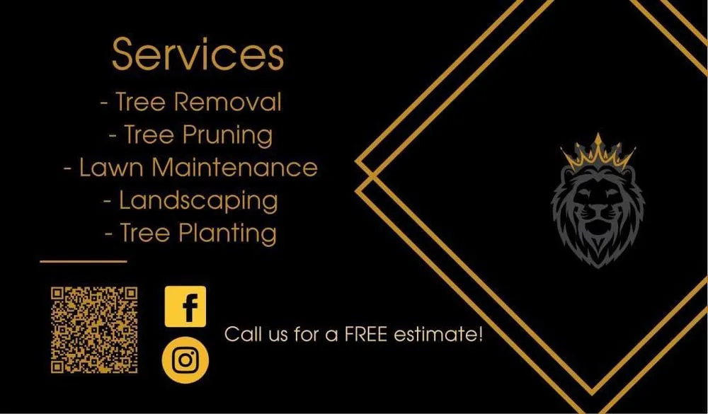 Top-rated lawn care service with custom design in Brownsville, TX by Jireh Tree & Lanscaping Services