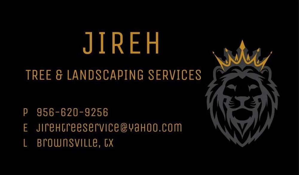Expert landscape installation in Brownsville, TX by Jireh Tree & Lanscaping Services