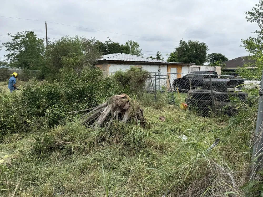 Trusted yard cleanup service experts serving Brownsville, TX - Jireh Tree & Lanscaping Services