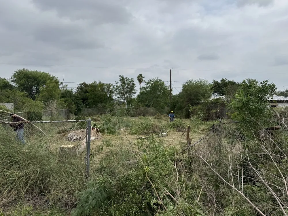 Professional lawn care service for residential properties across Brownsville, TX - Jireh Tree & Lanscaping Services