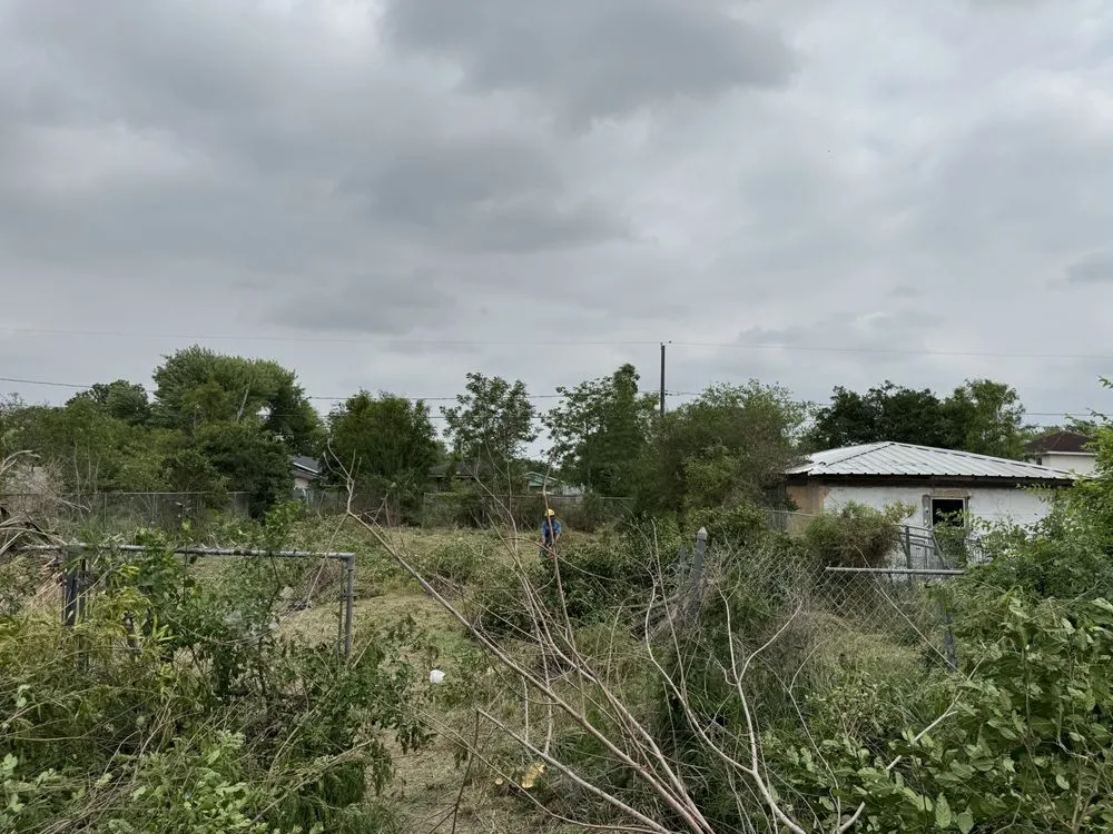 Affordable yard maintenance for residential properties across Brownsville, TX - Jireh Tree & Lanscaping Services