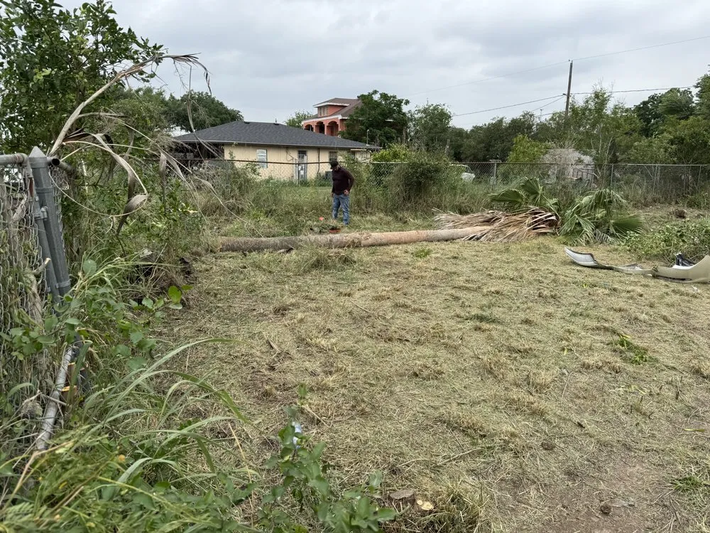 Expert lawn mowing service with custom design across Brownsville, TX - Jireh Tree & Lanscaping Services