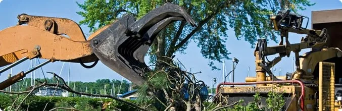 Professional lawn mowing service with custom design across Spring, TX - Jireh Trees and Landscaping