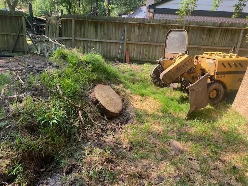 Trusted outdoor landscaping in Spring, TX - Jireh Trees and Landscaping