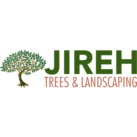 Local yard maintenance in Spring, TX by Jireh Trees and Landscaping