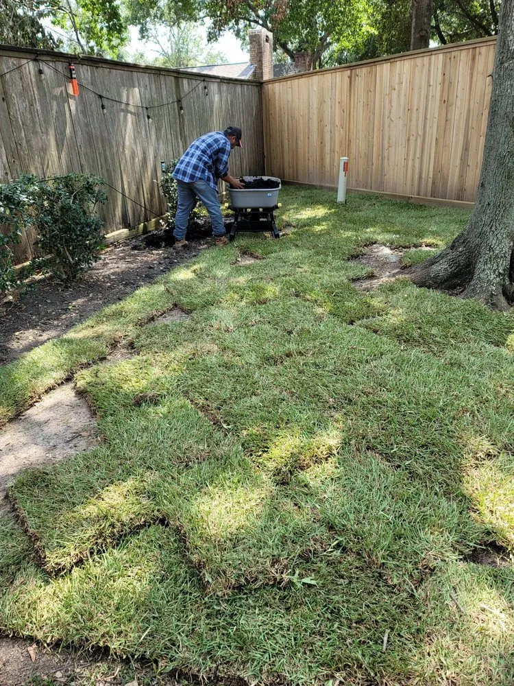 Local landscape design in Spring, TX by Jireh Trees and Landscaping