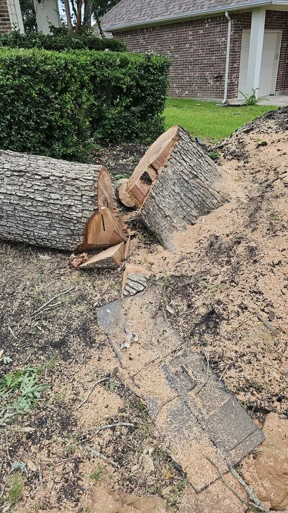 Top-rated landscape design experts serving Spring, TX - Jireh Trees and Landscaping