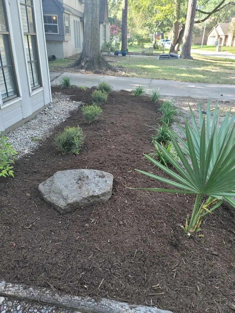 Professional outdoor landscaping for beautiful yards in Spring, TX by Jireh Trees and Landscaping