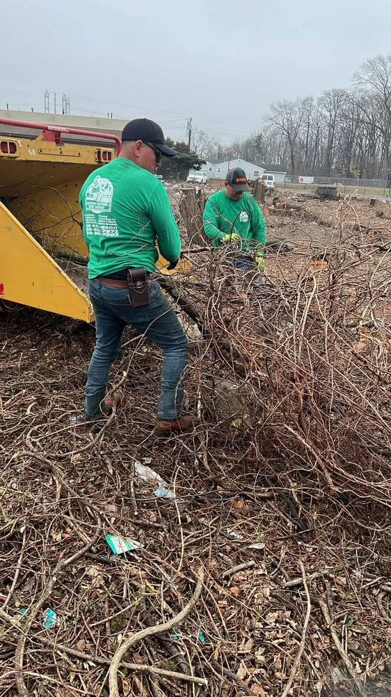 Professional garden landscaping in Municipio de Riverside, NJ by Jireh’s Tree Service & Landscaping