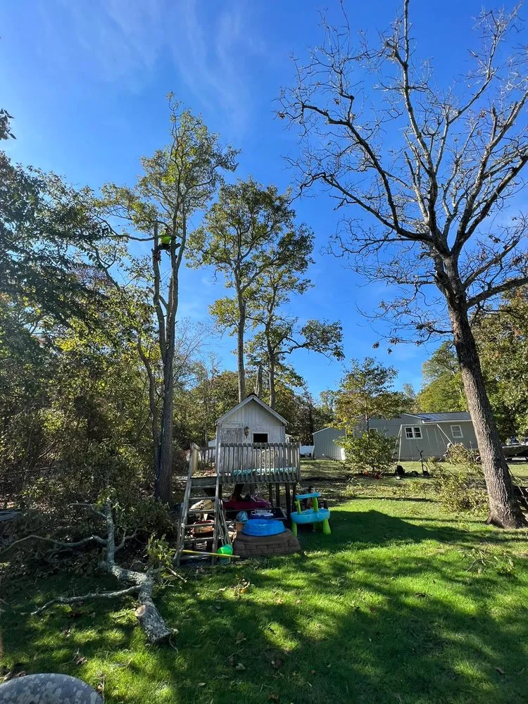Top-rated landscape installation in Municipio de Riverside, NJ - Jireh’s Tree Service & Landscaping