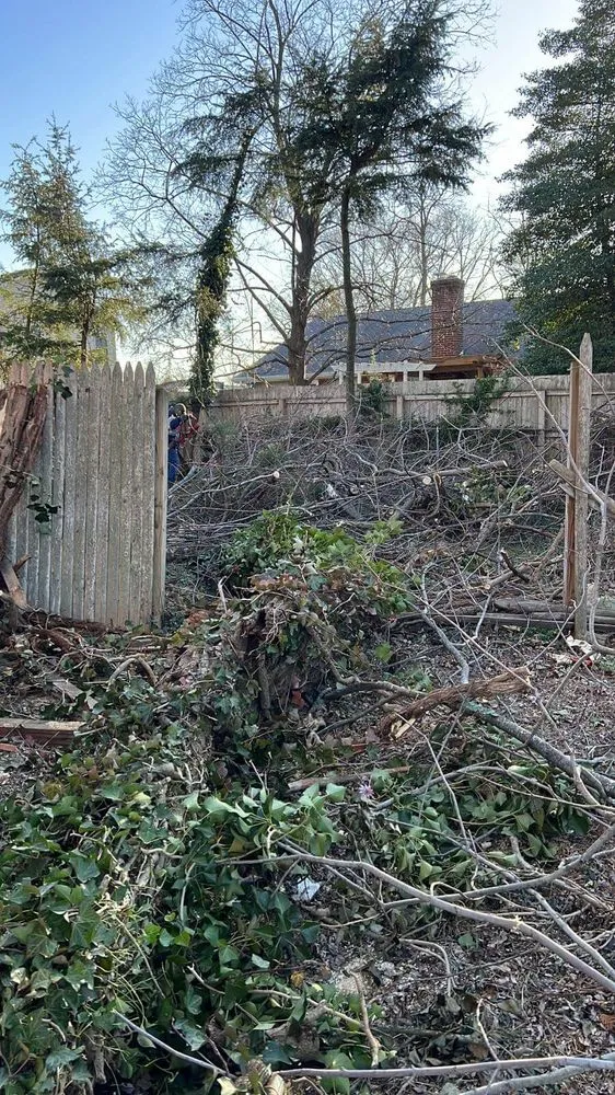 Trusted residential landscaping experts serving Municipio de Riverside, NJ - Jireh’s Tree Service & Landscaping