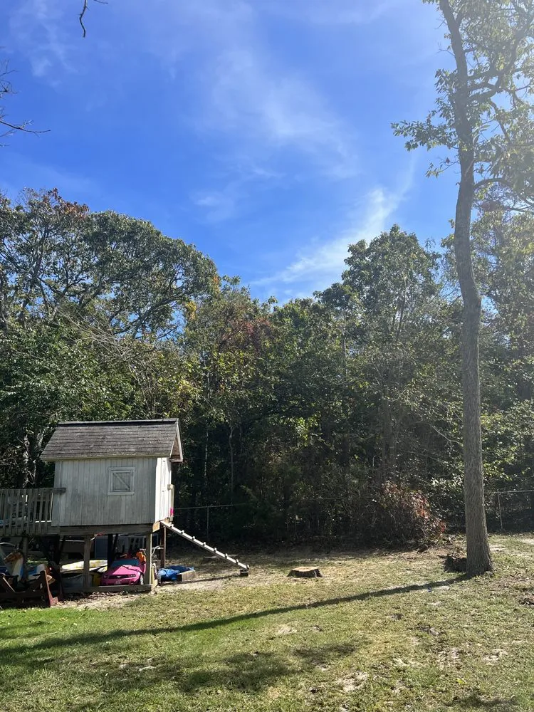 Professional lawn mowing service in Municipio de Riverside, NJ - Jireh’s Tree Service & Landscaping