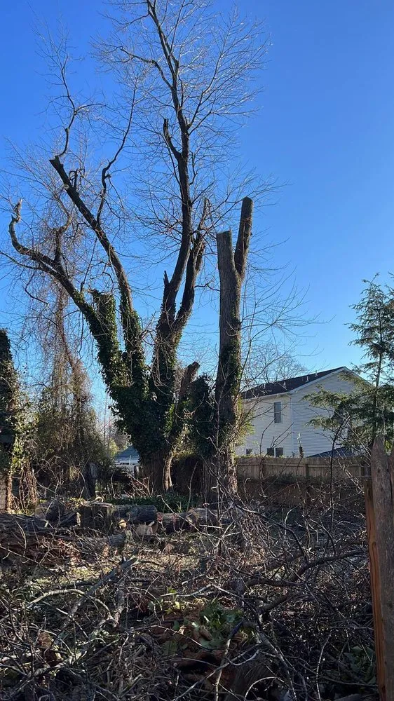 Affordable residential landscaping for beautiful yards across Municipio de Riverside, NJ - Jireh’s Tree Service & Landscaping