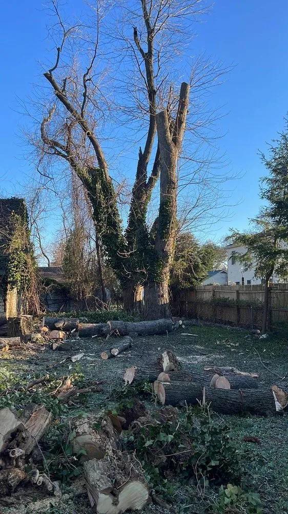 Local residential landscaping for year-round maintenance in Municipio de Riverside, NJ by Jireh’s Tree Service & Landscaping