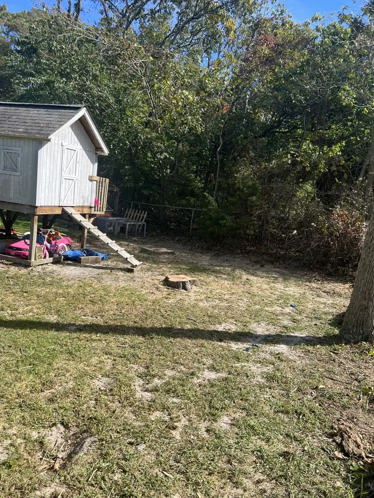 Custom lawn mowing service for beautiful yards in Municipio de Riverside, NJ by Jireh’s Tree Service & Landscaping